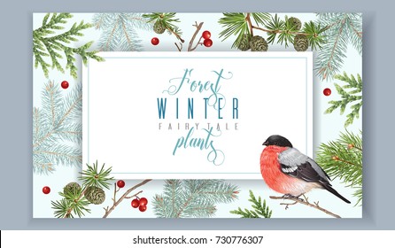 Vector vintage banner with winter forest branches and bullfinch. Highly detailed winter design for greeting card, Christmas party invitation, holiday sales. Can be used for poster, web page, packaging