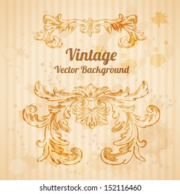 Vector vintage baroque engraving floral scroll filigree design
