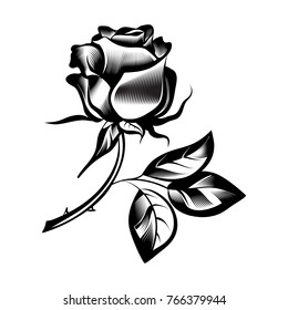 vector vintage black and white rose flower in style engraving