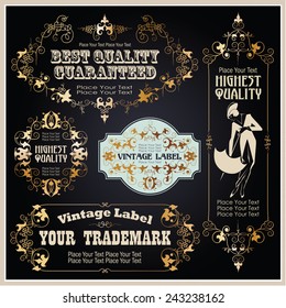 Vector vintage border style labels on different versions for decoration and design 