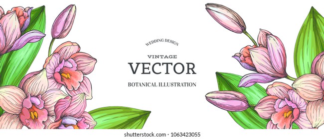 Vector vintage botanical background with blooming orchids. Hand drawn color texture with engraved flowers on white. Floral design with tropical plants