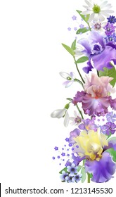 Vector vintage botanical banners with iris and spring blue flower on white. Floral design for natural cosmetics, perfume,women products. Can be used as greeting card,wedding invitation,summer backgrou