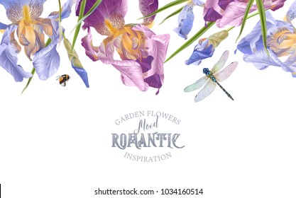 Vector vintage botanical border with iris flowers and dragonfly on white. Floral design for natural cosmetics, perfume,women products. Can be used as greeting card,wedding invitation,summer background