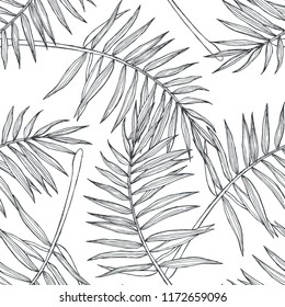 Vector Vintage Botanical Seamless Pattern With Palm Leaves In Engraving Style. Hand Drawn Texture With Tropical Plant Branches Isolated On White. Floral Background. Sketch Of Natural Element