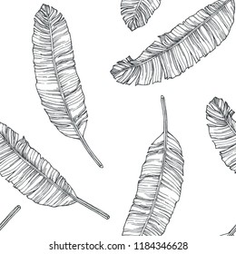 Vector vintage botanical seamless pattern with banana palm leaves in engraving style. Hand drawn texture with tropical plant branches isolated on white. Floral background. Sketch of natural element.