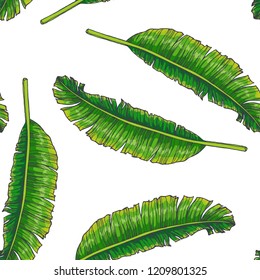 Vector vintage botanical seamless pattern with palm leaves in engraving style. Hand drawn color texture with tropical plant branches isolated on white. Floral background. Sketch of natural element.