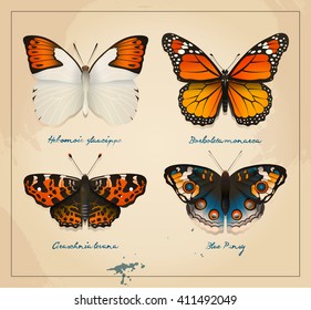 Vector Vintage Butterflies cover. Vintage design to print. Printable art for postcard. Collection of brightly colored butterflies on a background of old paper with watercolor spots.