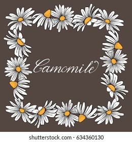 Vector vintage camomile wreath frame