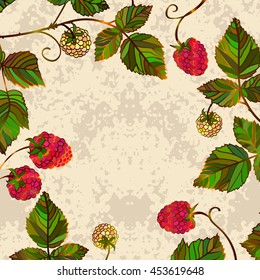 Vector vintage card with red and yellow raspberries. Vector colored raspberry frame. Summer template card.