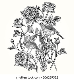 Vector vintage card with roses and birds. Black and white.