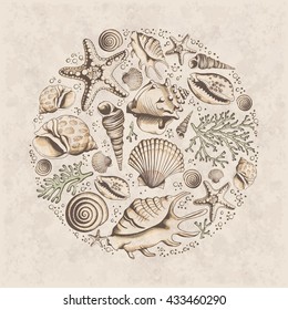 Vector vintage card with seashells, corals and starfishes. Marine background. Illustration in sketch style. Perfect for greetings, invitations, manufacture wrapping paper, wedding and web design.