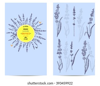 Vector vintage cards with hand draw flowers and herbs. Layout, mockup design for honey, cosmetics shop, beauty salon, natural and organic products. Organic plants sketch background.