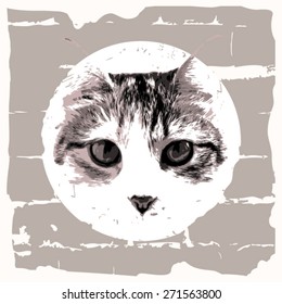 vector vintage cat