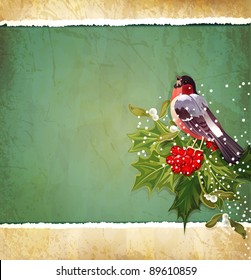 vector vintage Christmas background with holly and bullfinch