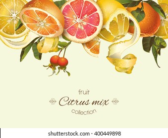 Vector vintage citrus banner with lemon, mandarin and grapefruit.Design for tea, juice, natural cosmetics, baking,candy and sweets with citrus filling,grocery,health care products.With place for text.