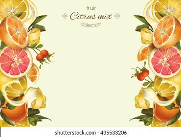 Vector vintage citrus banner with lemon, hibiscus and rose hip.Design for tea, juice, natural cosmetics, baking,candy and sweets with citrus filling,grocery,health care products. With place for text.