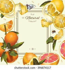 Vector vintage citrus frame with lemon, mandarin and grapefruit.Design for tea, juice, natural cosmetics, baking,candy and sweets with citrus filling,grocery,health care products. With place for text.