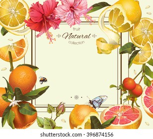 Vector vintage citrus frame with lemon, hibiscus and rose hip.Design for tea, juice, natural cosmetics, baking,candy and sweets with citrus filling,grocery,health care products. With place for text.