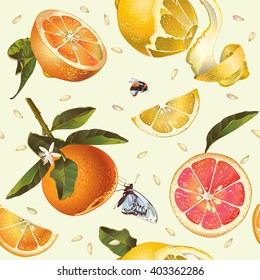 Vector vintage citrus  seamless pattern with lemon, orange,mandarin and grapefruit.Background design for tea, juice, natural cosmetics,baking,candy and sweets with citrus filling,health care products.