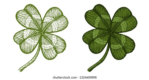Vector vintage clover for Patrick's day. Vintage green lucky clovers in engraving style.
