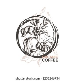 Vector vintage coffee symbol. Nature sketch of tree, branch, natural bean, texture grain. Art hand drawn logo in circle, label. White background Bio product, simple design Organic card, tropical drink