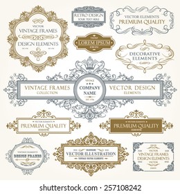 Vector vintage collection: Baroque and antique frames, labels, emblems and ornamental design elements on a old paper background