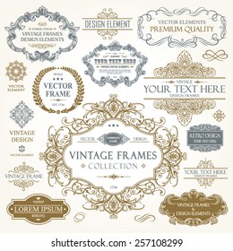 Vector vintage collection: Baroque and antique frames, labels, emblems and ornamental design elements on a old paper background