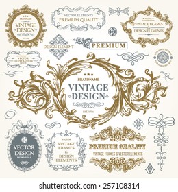 Vector vintage collection: Baroque and antique frames, labels, emblems and ornamental design elements on a old paper background