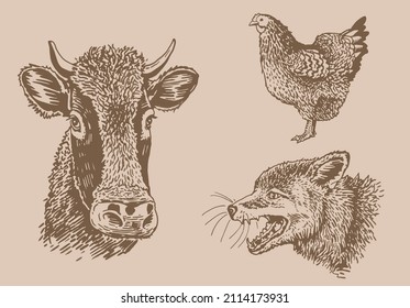 Vector vintage collection of farm animals , rural wildlife elements for design,coloring and printing