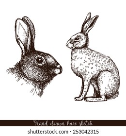 Vector vintage collection of ink hand drawn hera illustrations isolated on white.