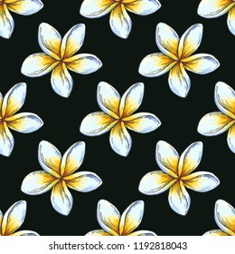 Vector vintage color seamless pattern. Plumeria flowers in engraving style. Isolated tropical blooming plant. Hand drawn botanical texture