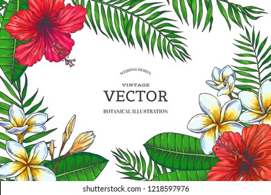 Vector vintage color tropical background. Hand drawn botanical illustration with flowers and leaves for invitation or greeting design. Hibiscus and plumeria with palm branches in engraving style
