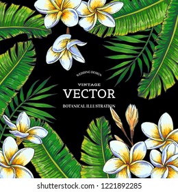 Vector vintage color tropical background. Hand drawn botanical illustration with flowers and leaves for invitation or greeting design. Plumeria with palm branches in engraving style.