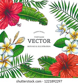 Vector vintage color tropical background. Hand drawn botanical illustration with flowers and leaves for invitation or greeting design. Hibiscus and plumeria with palm branches in engraving style.