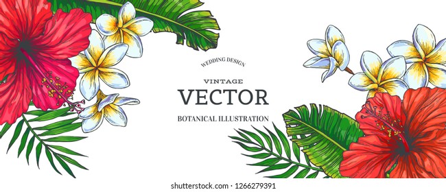 Vector vintage color tropical background. Hand drawn botanical illustration with flowers and leaves for invitation or greeting design. Hibiscus and plumeria with palm branches in engraving style.