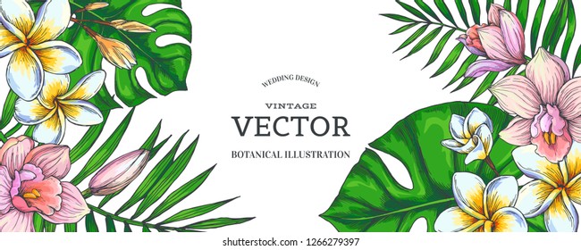 Vector vintage color tropical background. Hand drawn botanical illustration with flowers and leaves for invitation or greeting design. Hibiscus and plumeria with palm branches in engraving style.