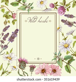 Vector vintage colorful hand-drawn frame template illustration with wild flowers and herbs. Layout, mock up design for cosmetics, store, beauty salon, natural and organic products. With place for text