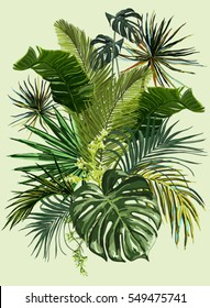 Vector vintage composition with exotic leaves. Botanical classic illustration.  Perfect for wallpapers, web page backgrounds, surface textures, textile.