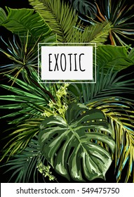 Vector vintage composition with exotic leaves. Botanical classic illustration.  Perfect for wallpapers, web page backgrounds, surface textures, textile.