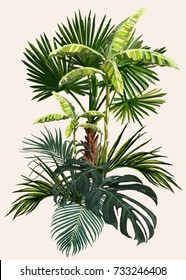 Vektor Vintage Komposition mit exotischen Blättern, Palmen, Bananenbäumen. Botanische klassische Illustration. Perfekt für Bildschirmhintergründe, Webseiten-Hintergründe, Oberflächentexturen, Textilien.