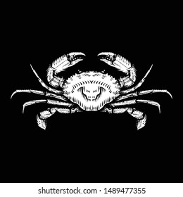 Vector vintage crab drawing. Hand drawn monochrome seafood illustration. Great for menu, poster or label