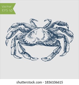Vector vintage crab drawing. Hand drawn monochrome seafood illustration.