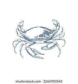 Vector vintage crab drawing. Hand drawn monochrome seafood illustration. Great for menu, poster or label.