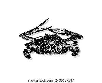 Dibujo vectorial de cangrejo vintage. Dibujo manual de mariscos monocromos. Ideal para menú, afiche o etiqueta.
