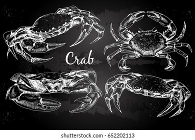 Vector vintage crab drawing. Hand drawn monochrome seafood illustration on chalkboard. Great for menu, poster or label.