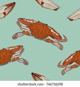 Vector vintage crab drawing. Hand drawn monochrome seafood illustration. seamless pattern vector.