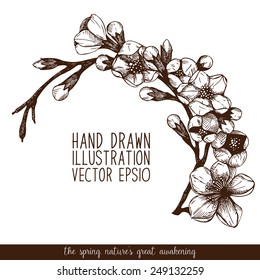 Vector vintage design for your card or invitation with hand drawn blooming fruit tree twig. Spring flower illustration.