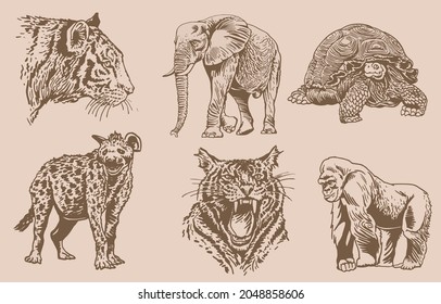 Vector vintage drawing of African animals , sepia background, illustration