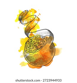 Vektor-Vintage-Zeichenfrucht, orange mit Spirale aus Schale und Aquarell-Farbflecken einzeln auf weißem Hintergrund