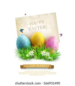 Vector vintage element for design. Easter eggs in green grass with white flowers, butterflies, vintage card for congratulation, isolated on white background.